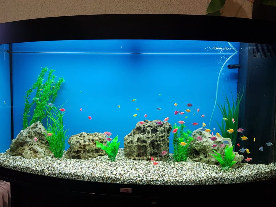 Аквариум  с  тумбой