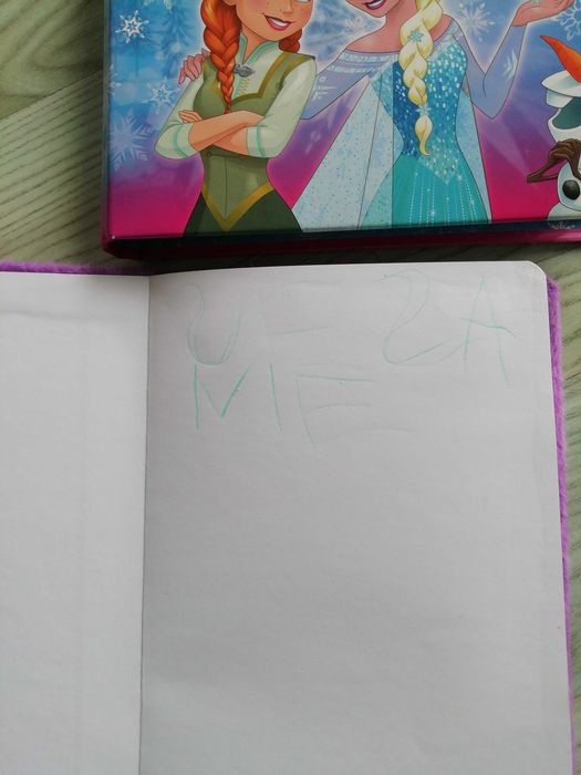Pamiętnik i notes Frozen