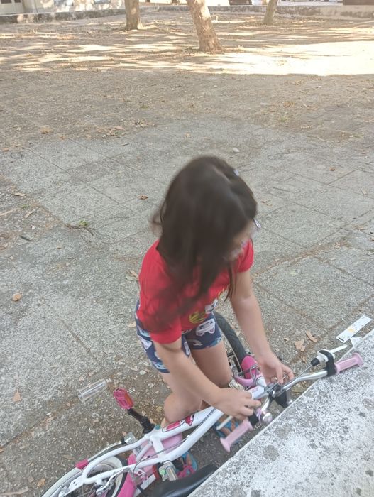 Bicicleta menina 4/6 anos