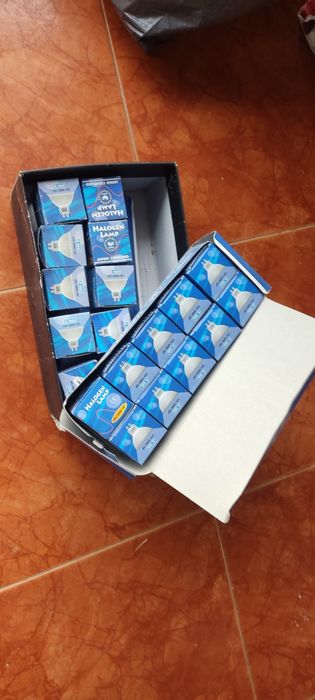 Desocupar _ 31 lâmpadas de halogéneo