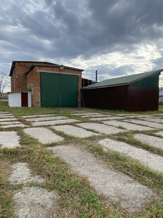 Деревообробне підприємство пилорама