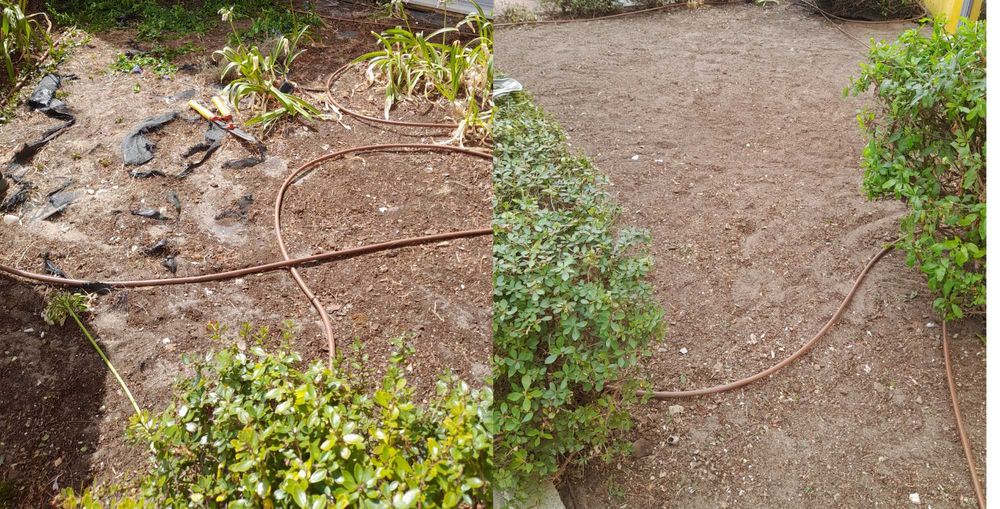 serviços de jardinagem