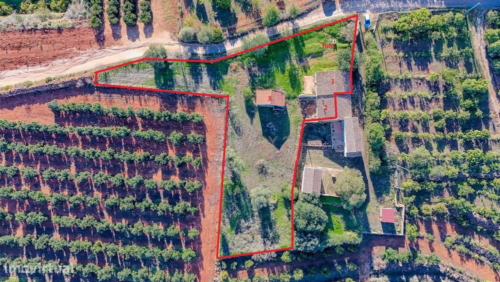 Três casas rurais para recuperar perto de Silves