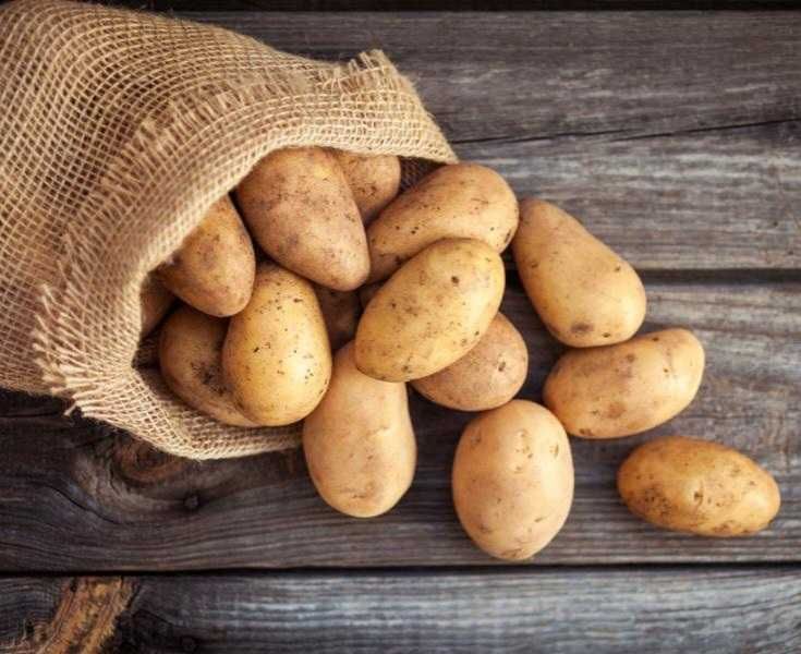 ziemniaki vineta lili odpadowe