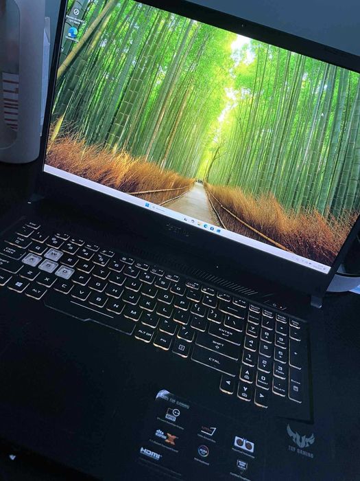 Laptop Asus TUF Gaming FX705DT-H7116