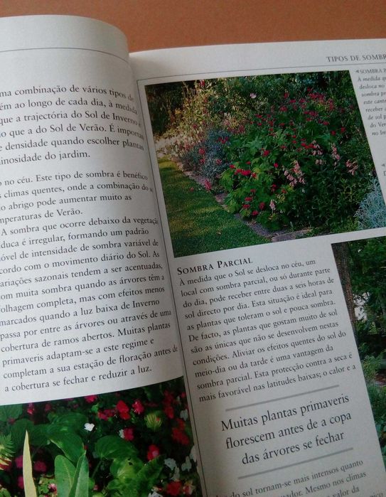 Cairn House
Jardins na Sombra