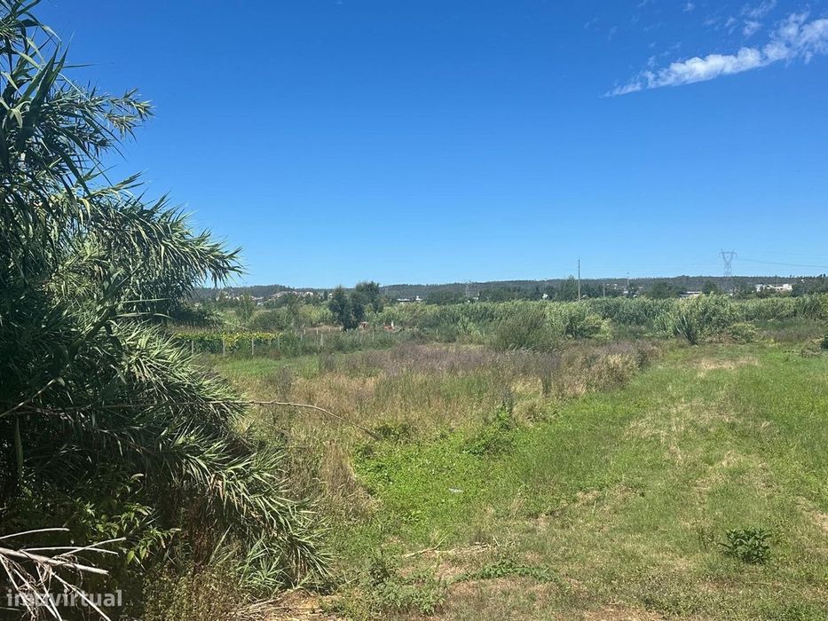 Terreno Para Construção  Venda em Amor,Leiria