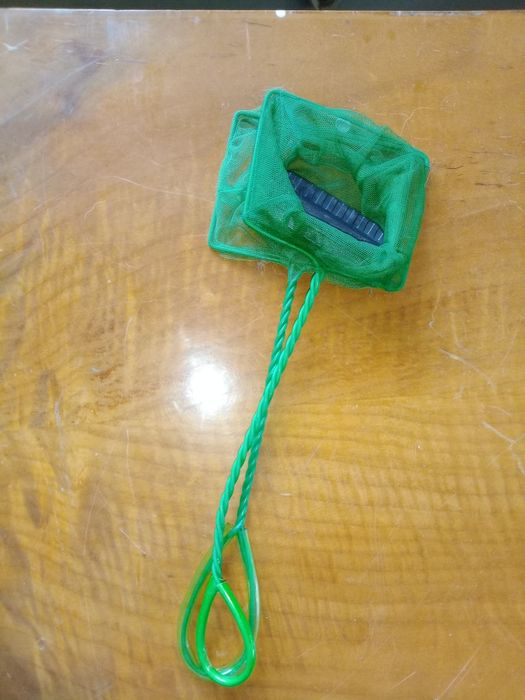 Oddam za darmo siatki do odławiania rybek w akwarium.