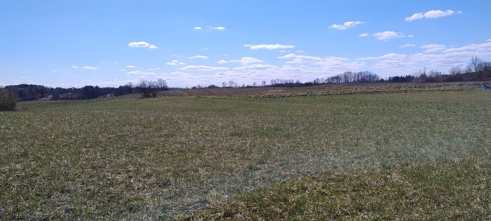OKAZJA Działki w Bieniach 5km od Ełku - Widok 2
