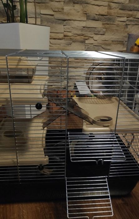 Nowa klatka DUŻA dla chomika myszki GRATIS wyposażenie