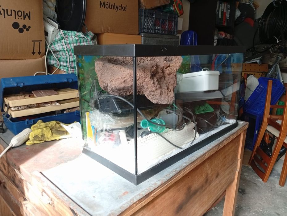 Vendo 3 aquários com acessórios