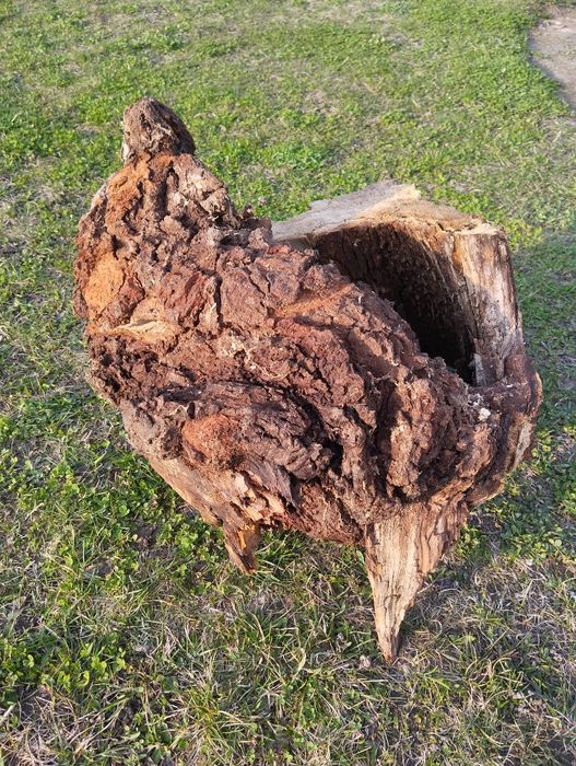 Korzeń, konar próchno do terrarium akwarium dla owadów, gadów