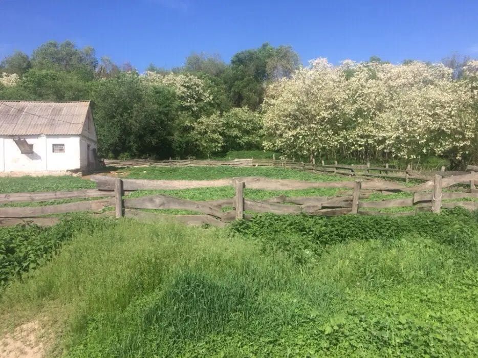 Продам ферму з 2 сараями