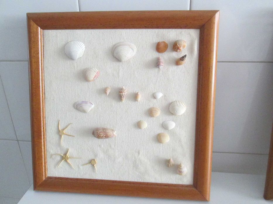 2 frames made with real seashells64297521528194122