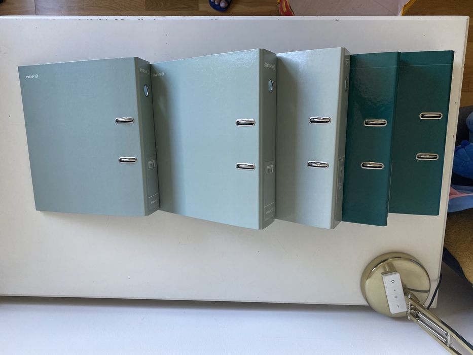 Lote 6 Pastas de arquivo Ambar