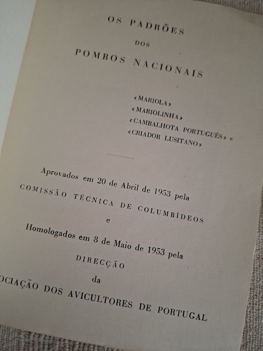 Columbofilia Pombos Portugueses