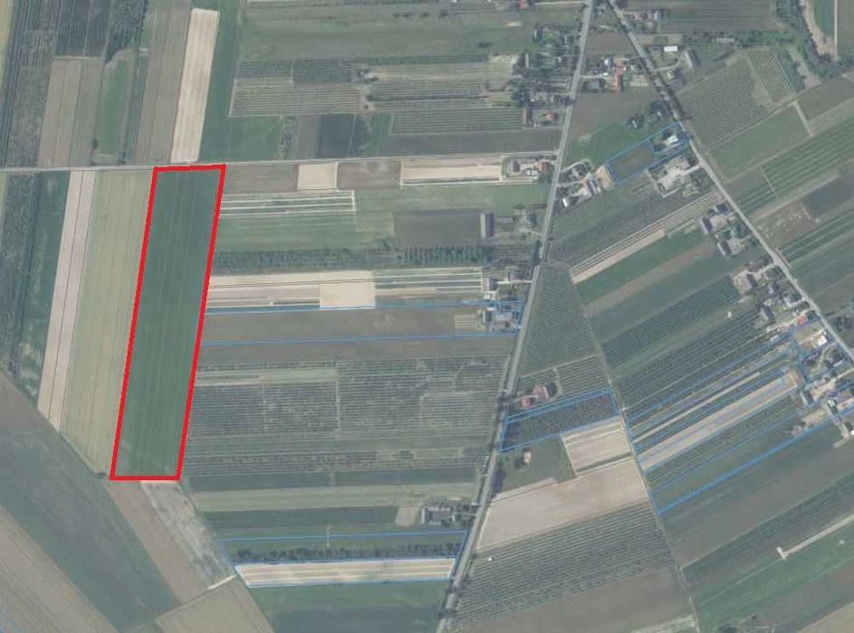 Działka rolna 4,85 ha | Pole orne | Droga asfaltowa