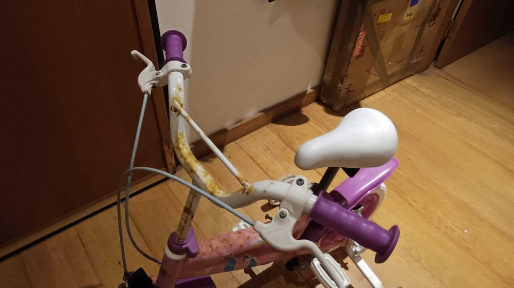 Bicicleta fantasy rosa com rodas de apoio toimsa r12"