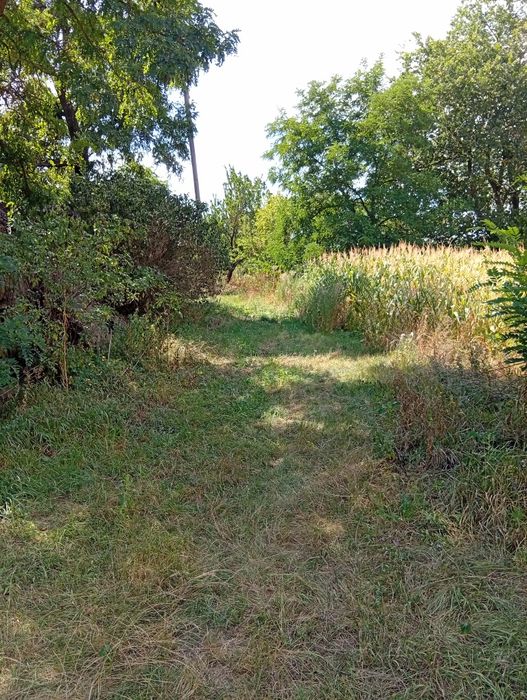 Земельна ділянка