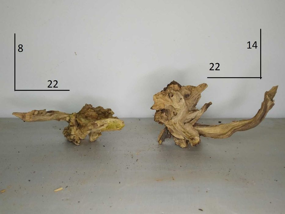 коряги для аквариума , террариума , флорариума .