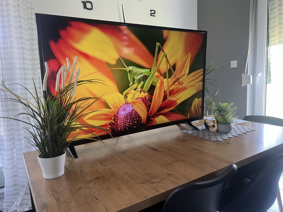 Telewizor 50 cali Piękny obraz Smart tv Youtube Netflix Canal+ Transport