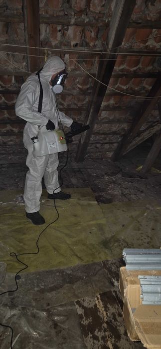 Dezynfekcja, osuszanie i usuwanie zapachów po zalaniu i po pożarze