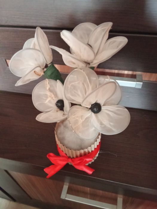 Biały kwiat w doniczce