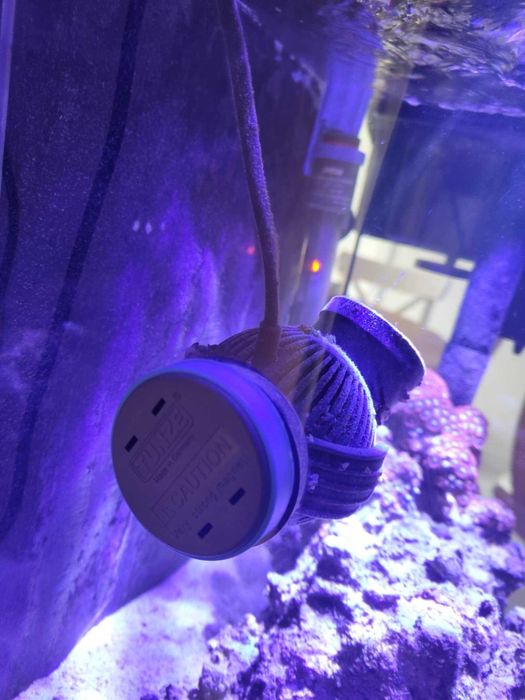 Kompletny zestaw akwarium morskie 64L (Szkło full optiwhite)