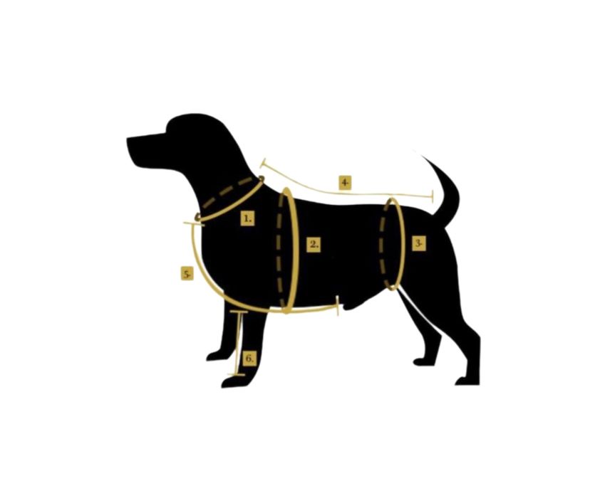 Kurtka przeciwdeszczowa z muchą dla pieska