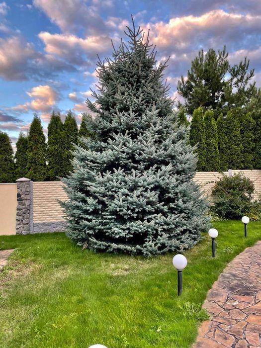 229 тыс $‼️‼️Капитальный ДОМ на Флоринке/297 м2/Родичи