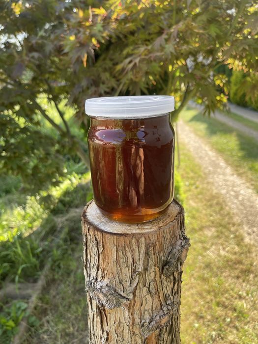 Мед натуральний свіжий