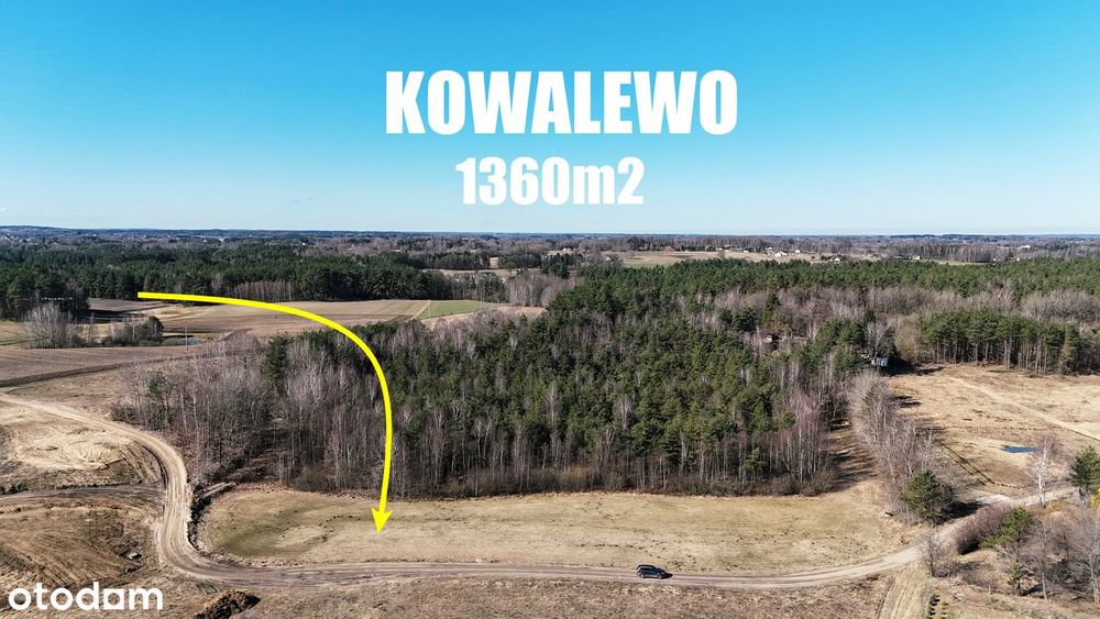 budowlana | ze ścianą lasu | płaska i sucha | warunki zabudowy