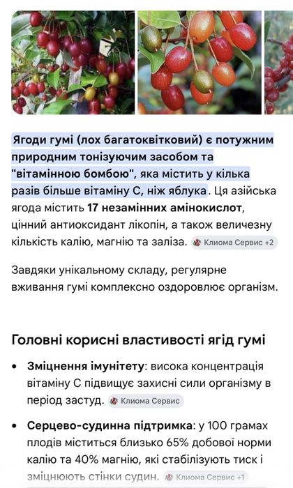 Дуже корисна та рідкісна ягода гумі ціна за 3 л (червень-липень)
