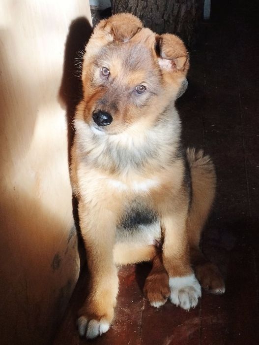 Малыш в хорошие руки!