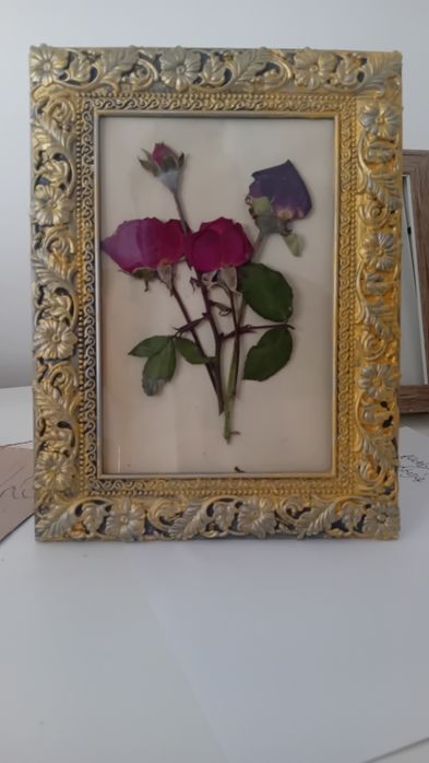Hand made suszone róże w ramie