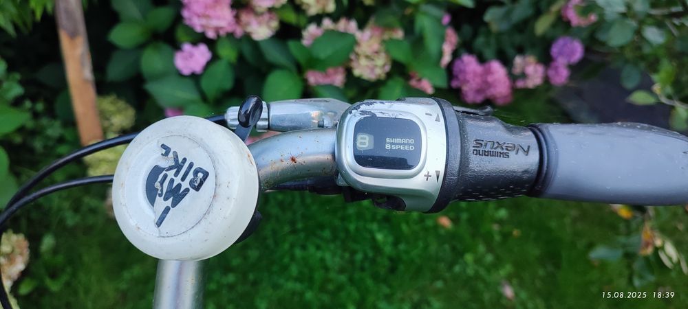 Rower elektryczny rixe