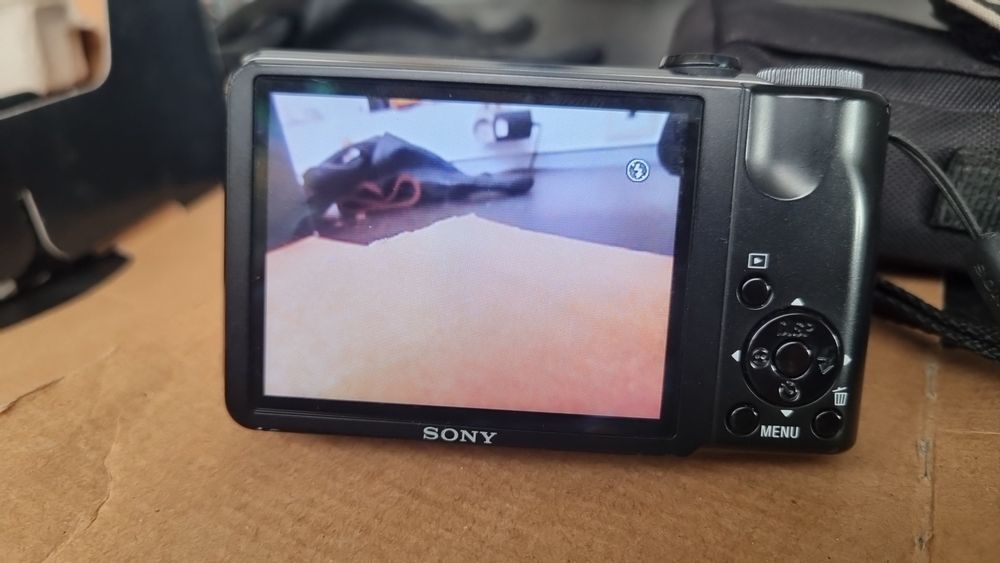 Sony cybershot DSC-H55