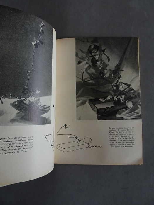 Livro Arranjos Florais Arreglo Floral Ikebana. Sanae Ishiy de Tsuji