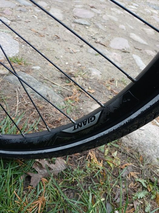 Rower elektryczny Giant