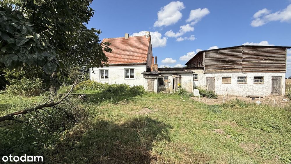 Dom – Chrapowo - Widok 4