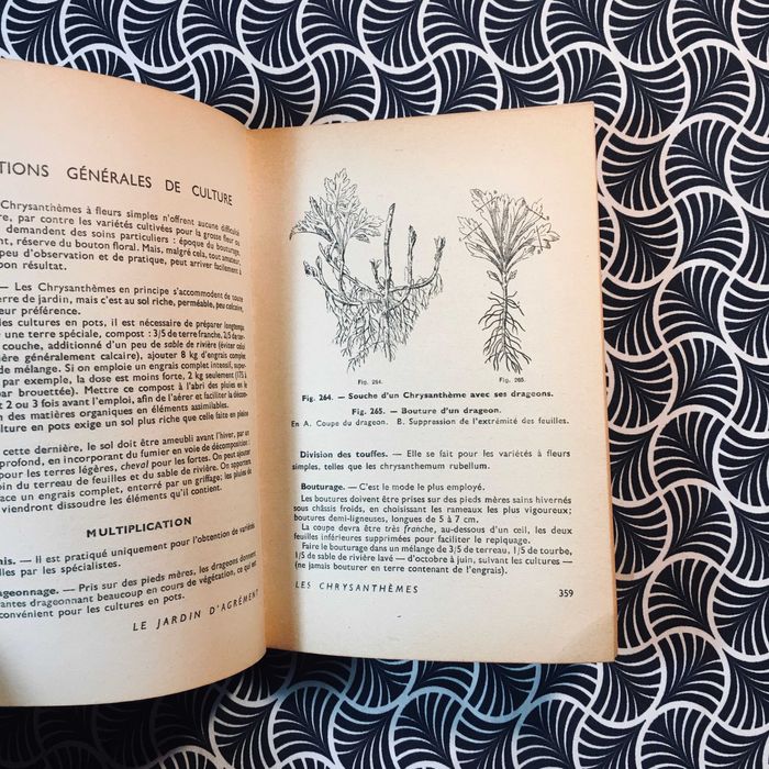 Fleurs, Fruits, Légumes - J. M. Duvernay et A. Perrichon