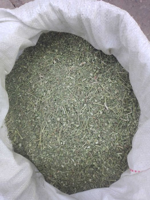 Продам якірці сланкі (кавунці).