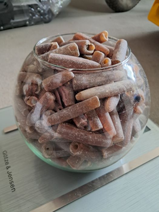 Belemnity 20 kg i koralowiec