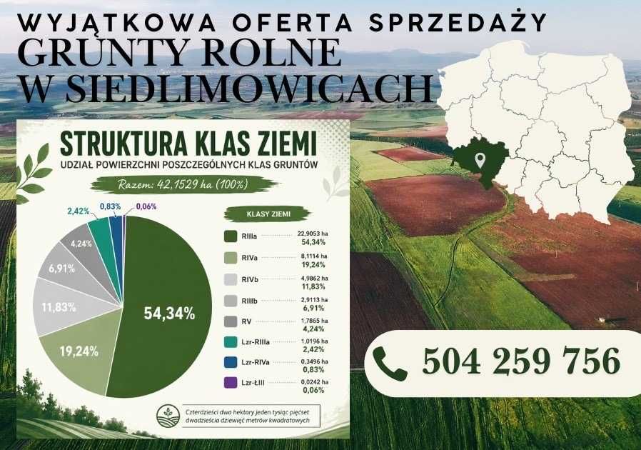 Okazja Inwestycyjna! Duża działka rolna 42,15 ha – Siedlimowice, pow. świdnicki