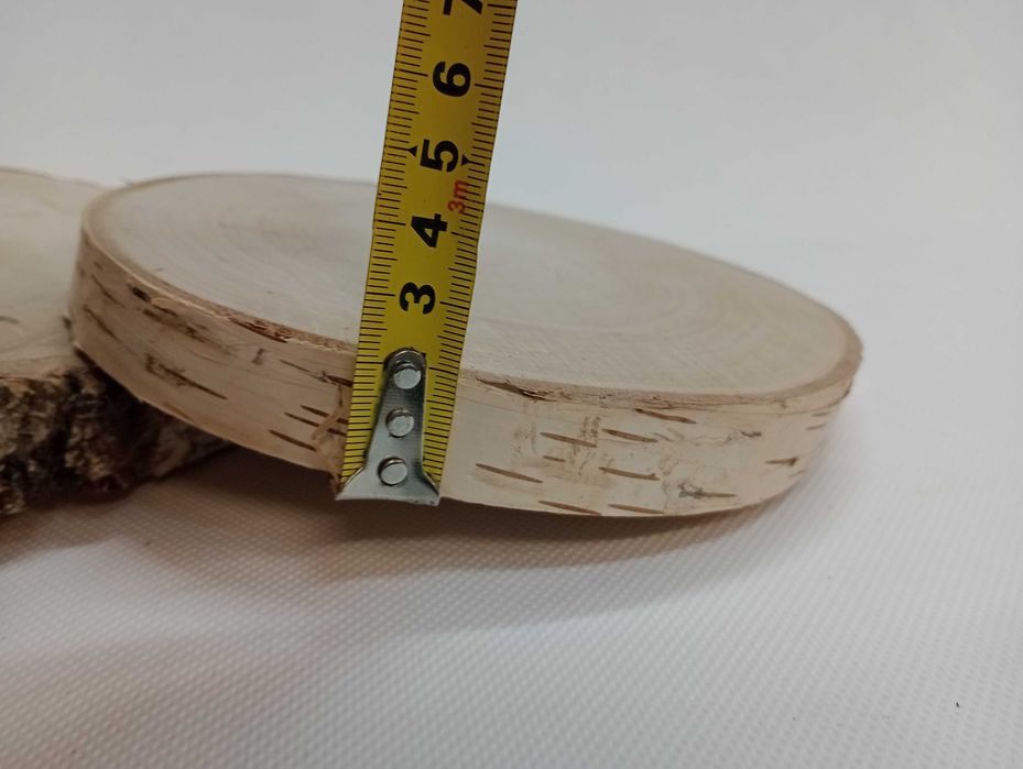 Plastry brzozowe, krążki brzozowe  15-20 CM  P2