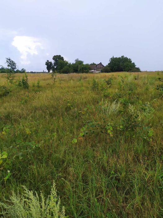 Земельна ділянка зі старим будинком без перебоїв в електропостачанні