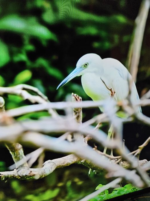 Tv sharp 65 cali 4k ultra hd.