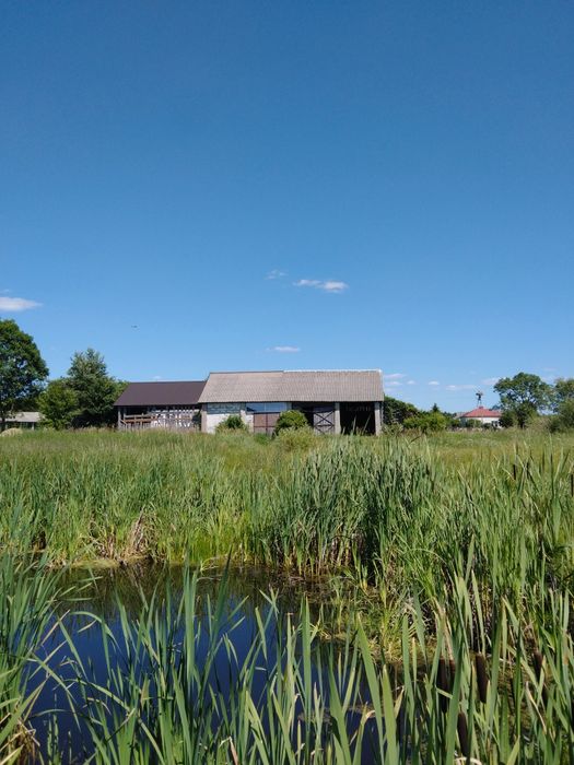 Stajnia dla koni, Dom z Gospodarstwem Staw, Siedlisko