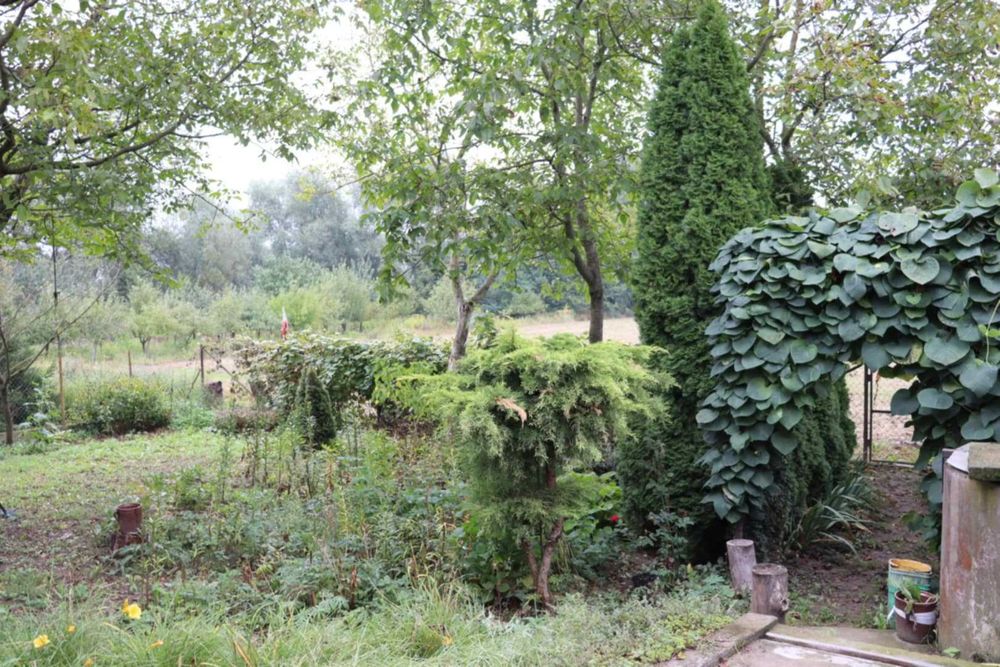 Siedlisko 10 ha nad Wisłą