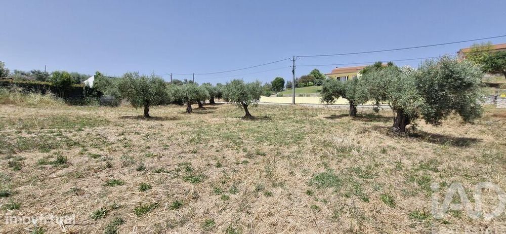 Terreno em Azambujeira e Malaqueijo de 3650,00 m2